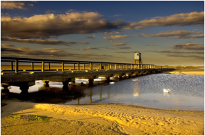 Bridges